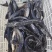 养殖场常年批发各种规格鲟鱼，鲟鱼饲料，一吨以上包运
