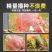 玉米播种机大豆播种机蔬菜播种机花生播种机高粱播种机棉花播