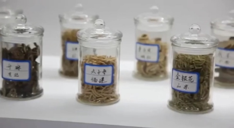 大量批发选货砂仁米常年供应多种规格量大从优