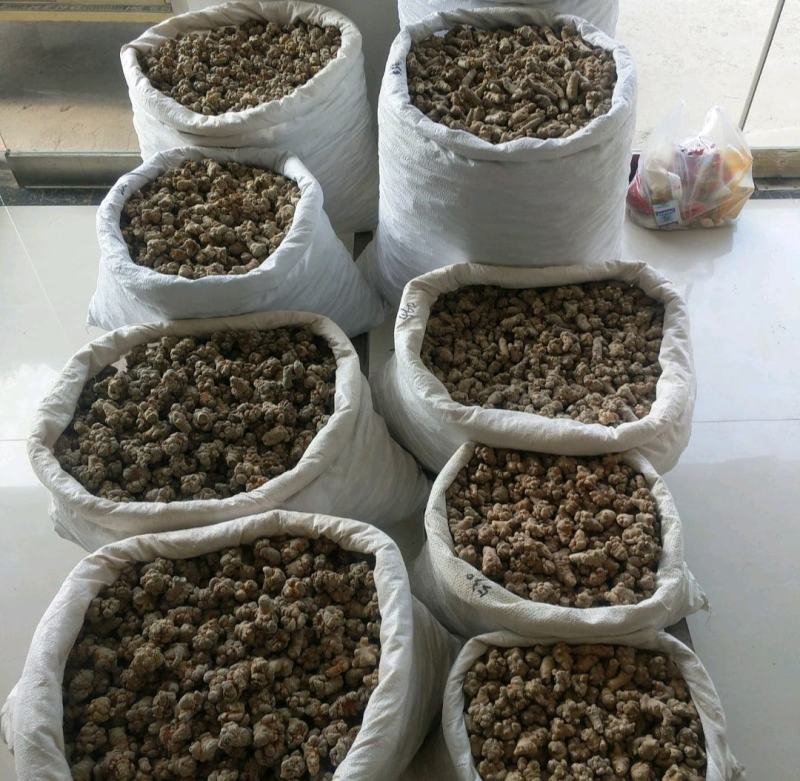振兴药材批发供应水洗无数头三七保质保量常年供应