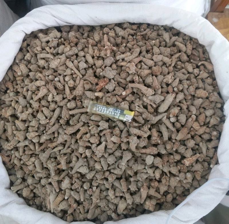 振兴药材批发供应水洗无数头三七保质保量常年供应