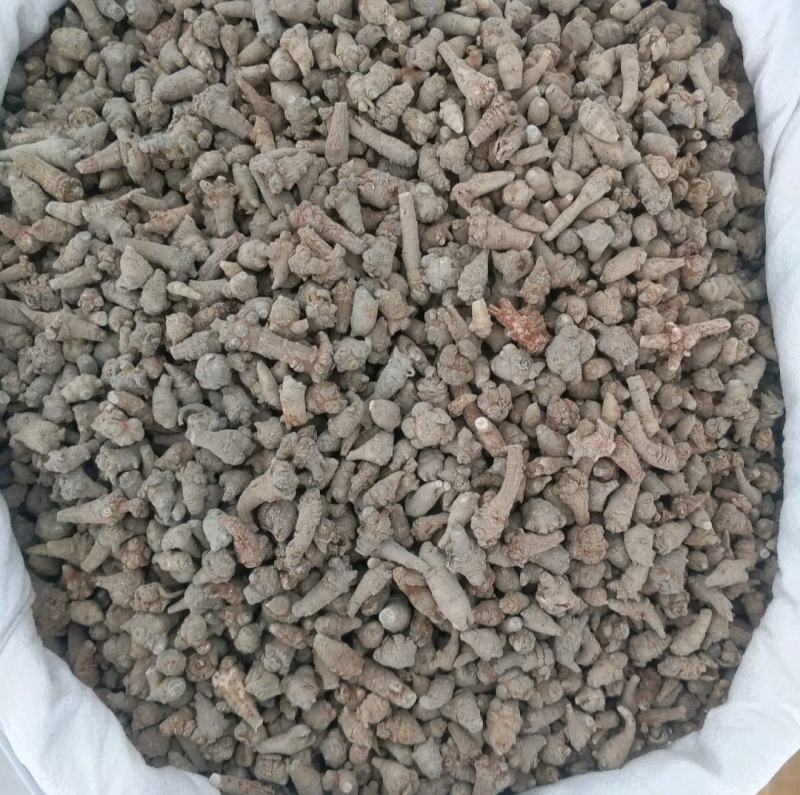 振兴药材批发供应水洗无数头三七保质保量常年供应