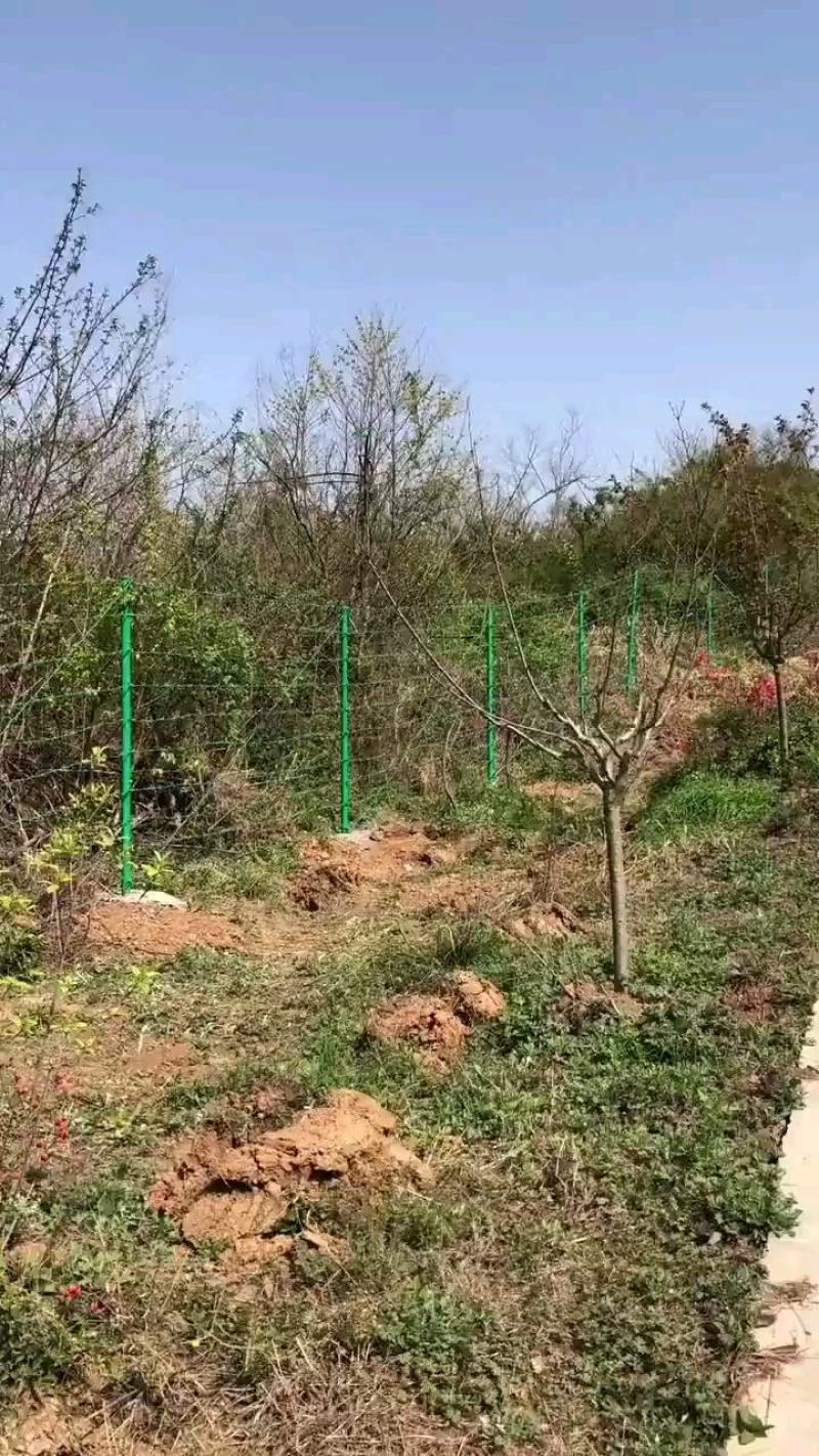 刺丝围网，有效防止偷盗攀，寿命长，成本低
