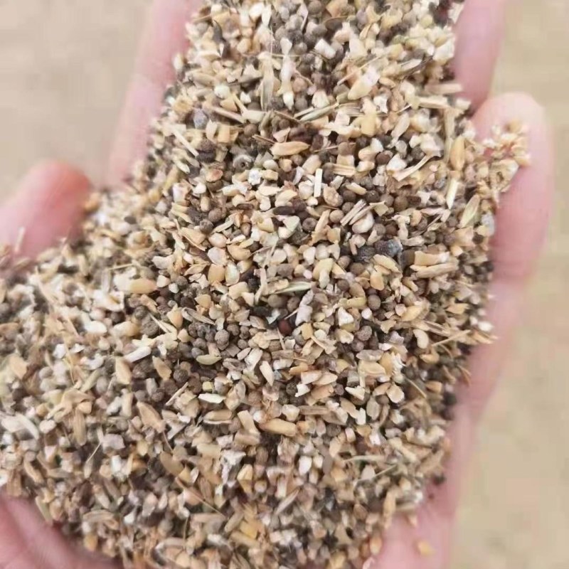 碎小麦（草籽麦）货源充足厂家直销一手货源全国发货