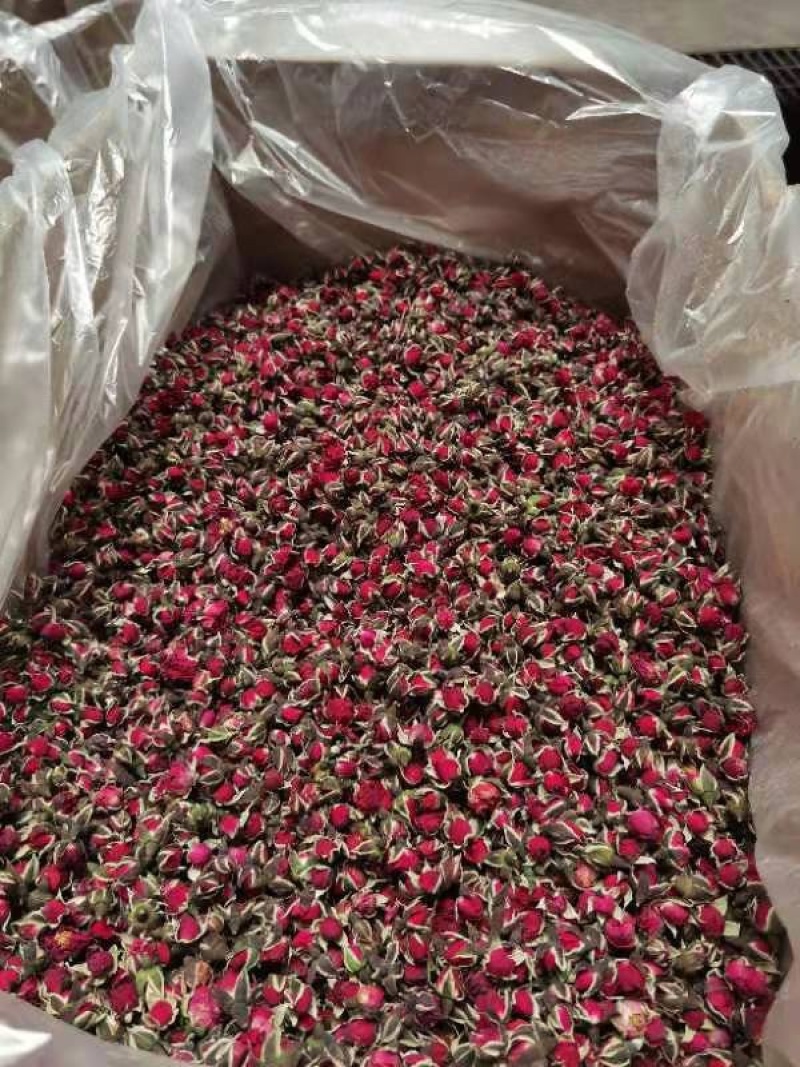 金边玫瑰云南金边玫瑰花自产自销大量现货批发价格优惠