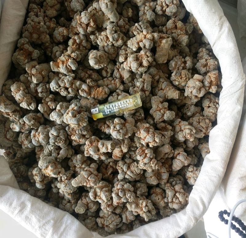 振兴药材批发供应水洗45头三七保质保量常年供应诚信合