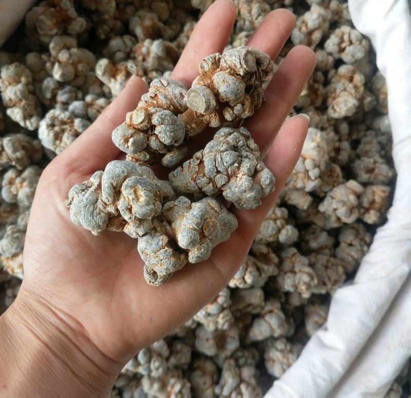 振兴药材批发供应水洗45头三七保质保量常年供应诚信合