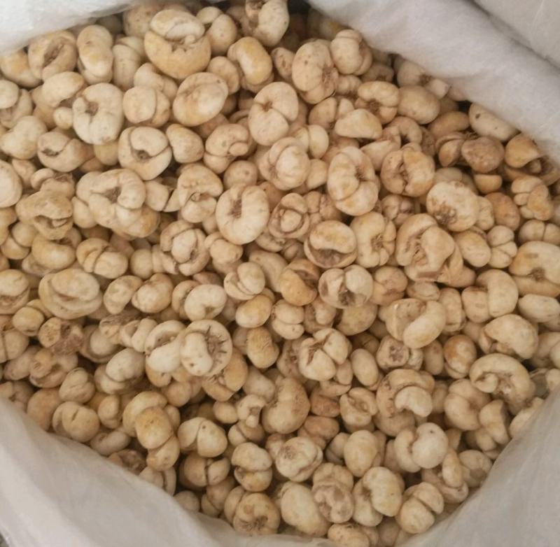 振兴药材批发供应浙贝个规格齐全产地直供一手货源全国发货
