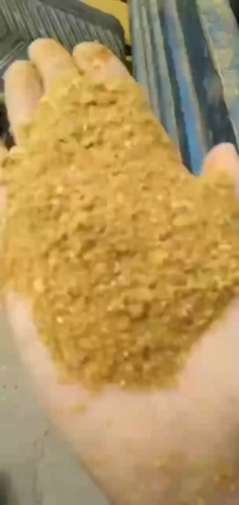 厂家直销酒糟，喷浆玉米皮（鸡鸭鹅猪育肥饲料）