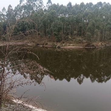 重庆永川区种养结合用地流转，面积一百亩，有8个鱼塘或虾塘