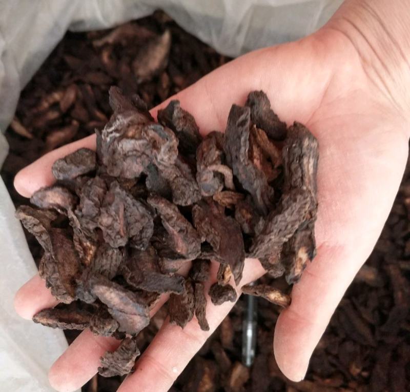 振兴药材批发供应生地黄产地货源常年供应量大从优