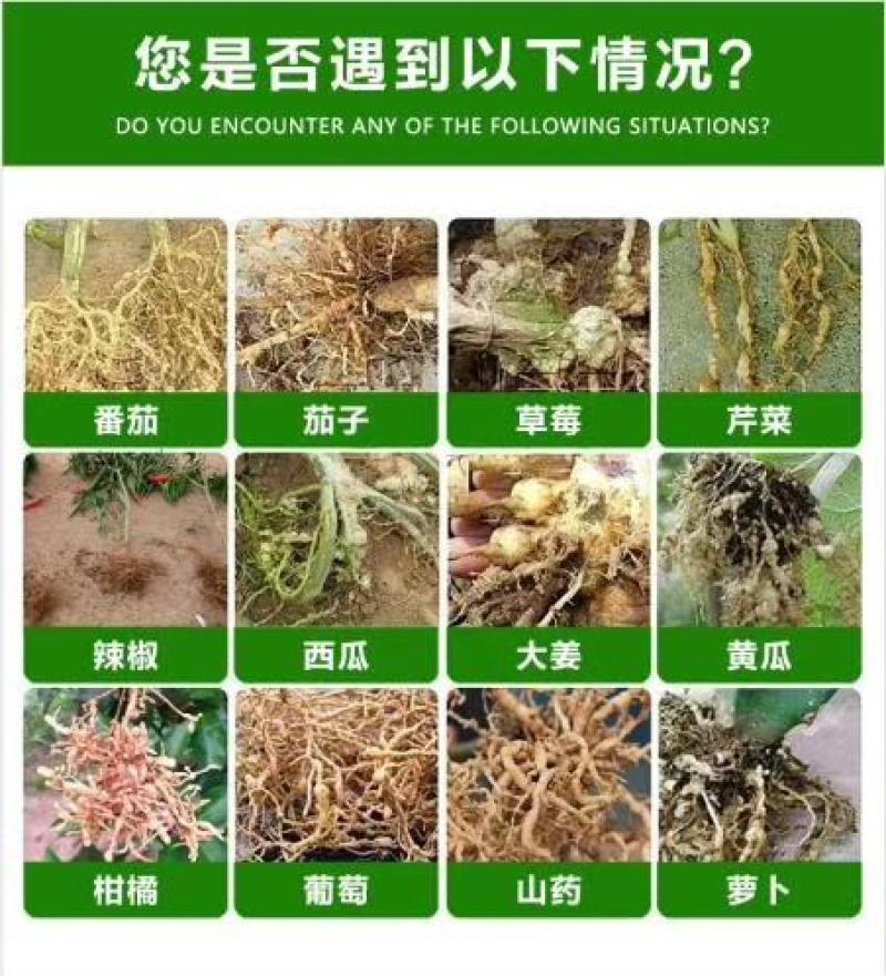 【包邮】根结线虫专用药无线时(全面替代噻唑膦和阿维菌素)