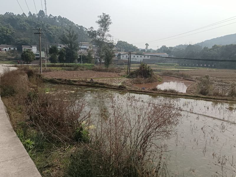100亩水田流转，土地租金350亩每年，地势平整