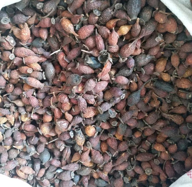 振兴药材批发供应金樱子规格齐全产地直供一手货源全国发货