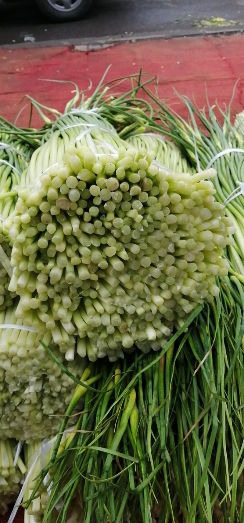 优质蒜苔上市了