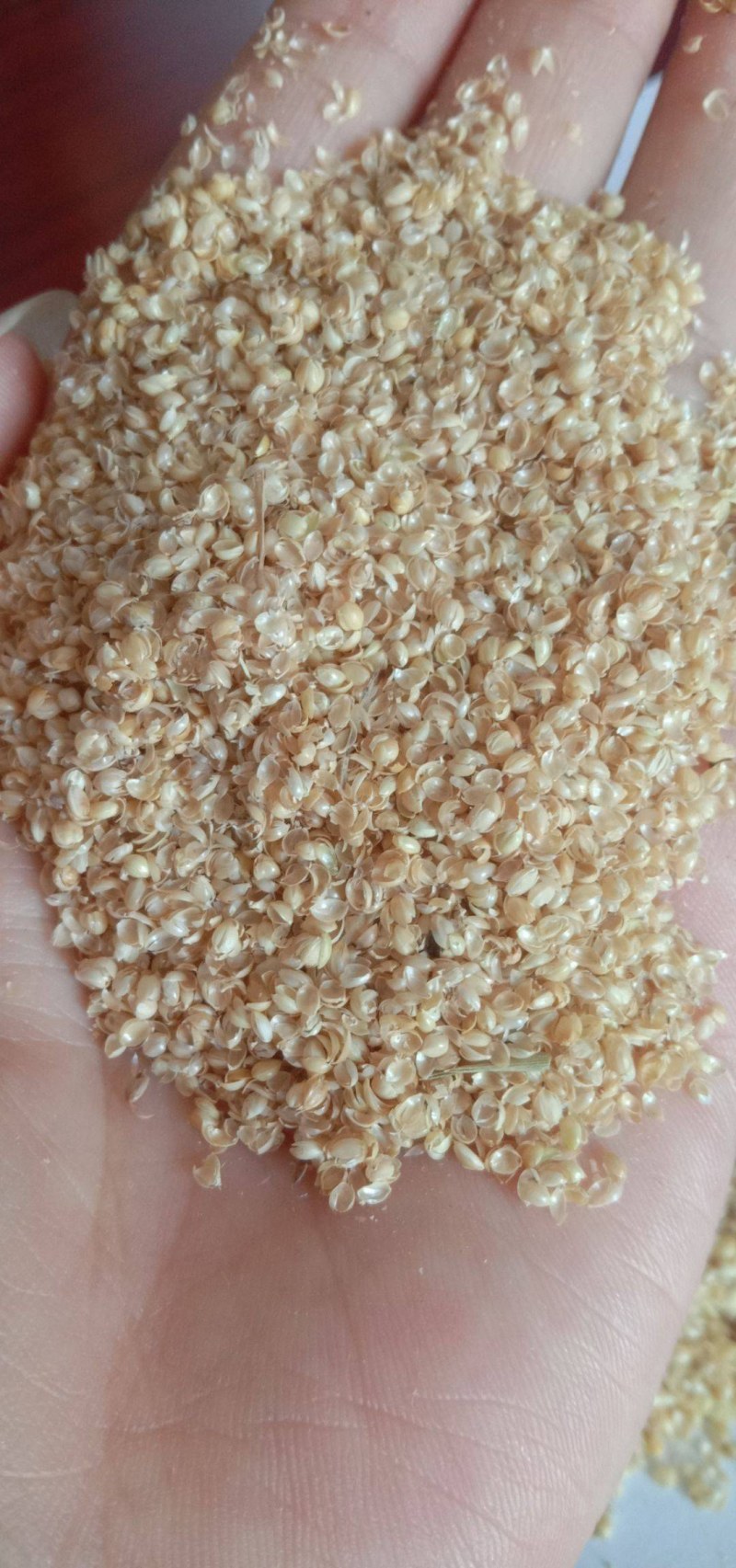 厂家直销，精品小米壳，汽车坐垫填充物