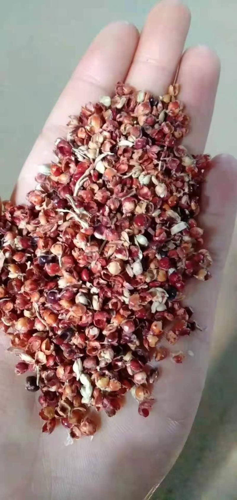 【热销产品】高粱糠用于养殖户直接喂养，饲料厂添加