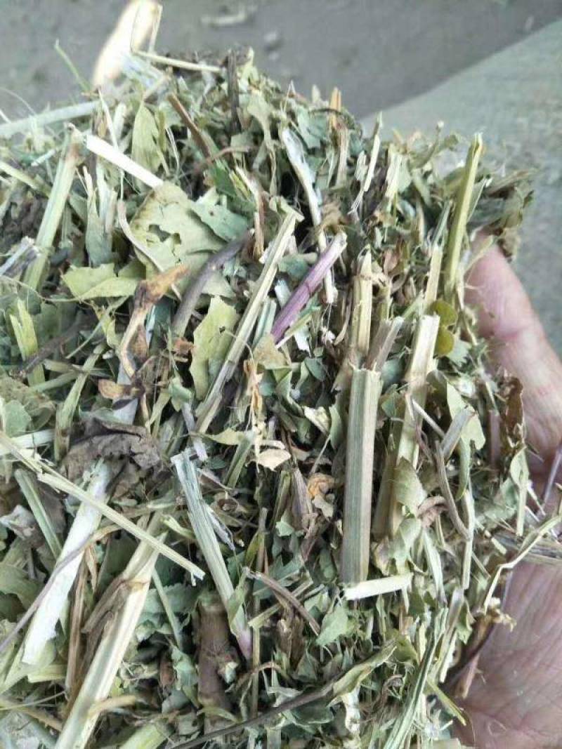 厂家直销花生秧羊草优质花生秧草段2-3公分过筛无土无霉变