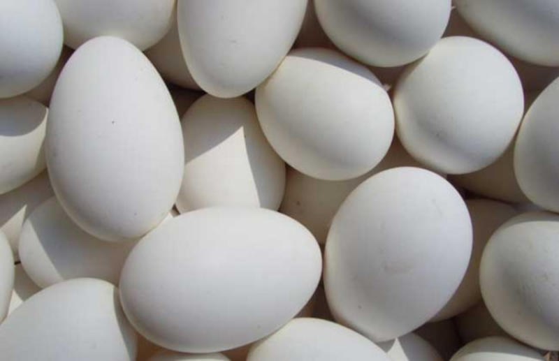 鸭蛋大量裂纹蛋，哑巴蛋，破蛋，长年供旅销团队，质量保证