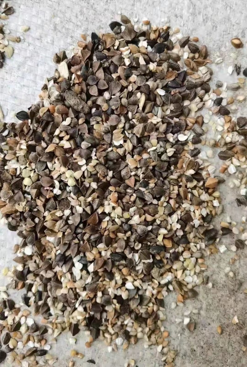 荞麦碎，水分11，蛋白18到20，灰分1