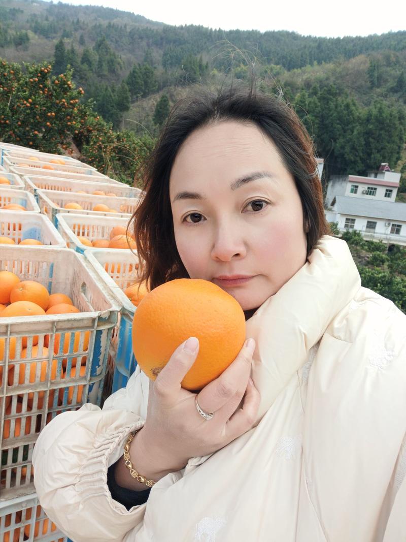 《热卖》伦晚中华红血橙夏橙对接电商社团商超市场