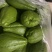 大量现货佛手瓜也称作洋瓜需要的随时有现货