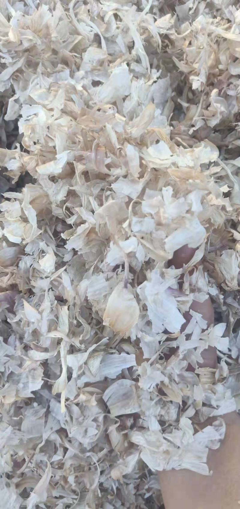 【常年出售大蒜皮】适用于反刍动物养殖，量大质优，厂家现货