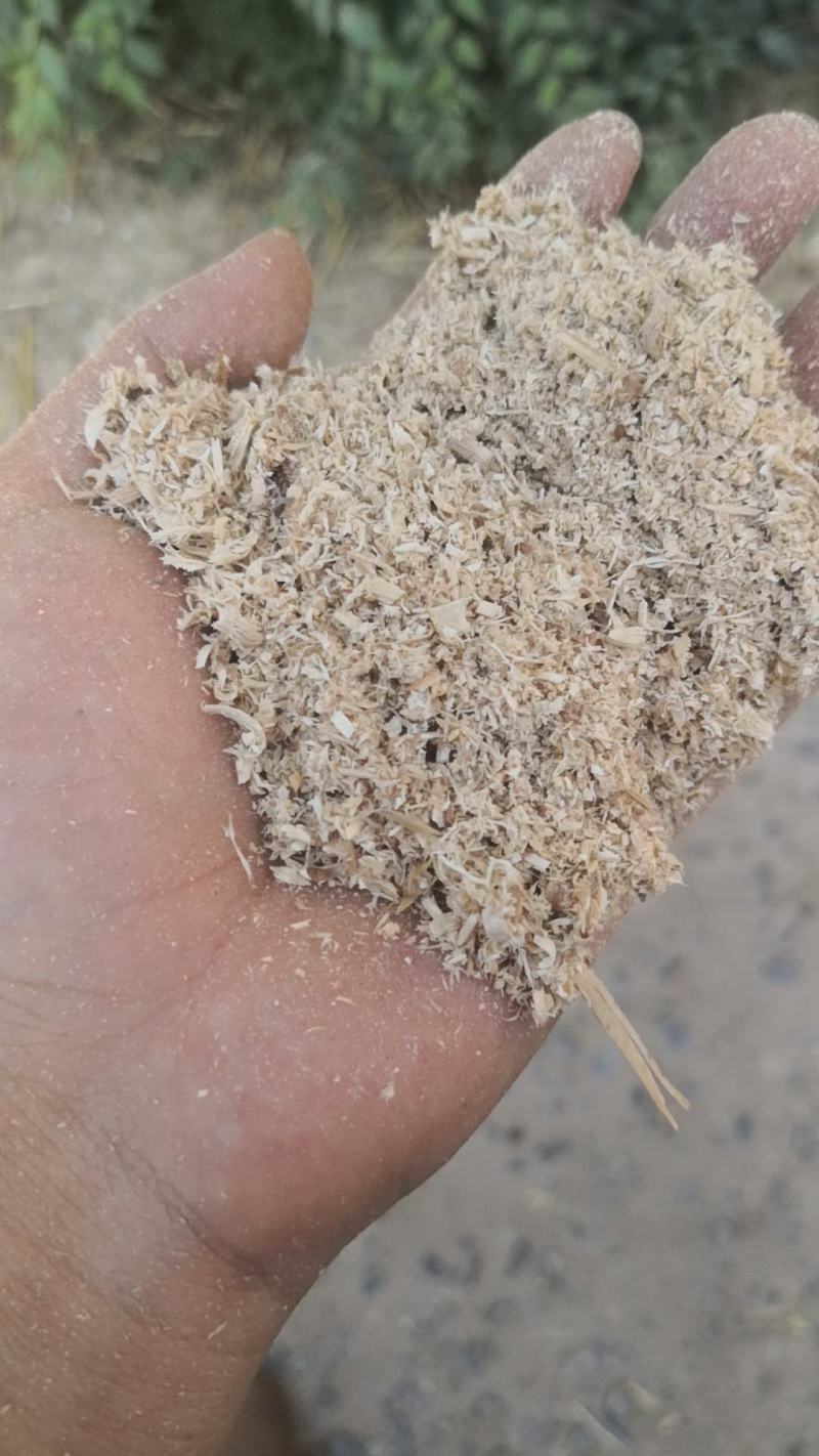 大量桐木锯末出售价格便宜，过筛装车，厂家有车随时都可以发