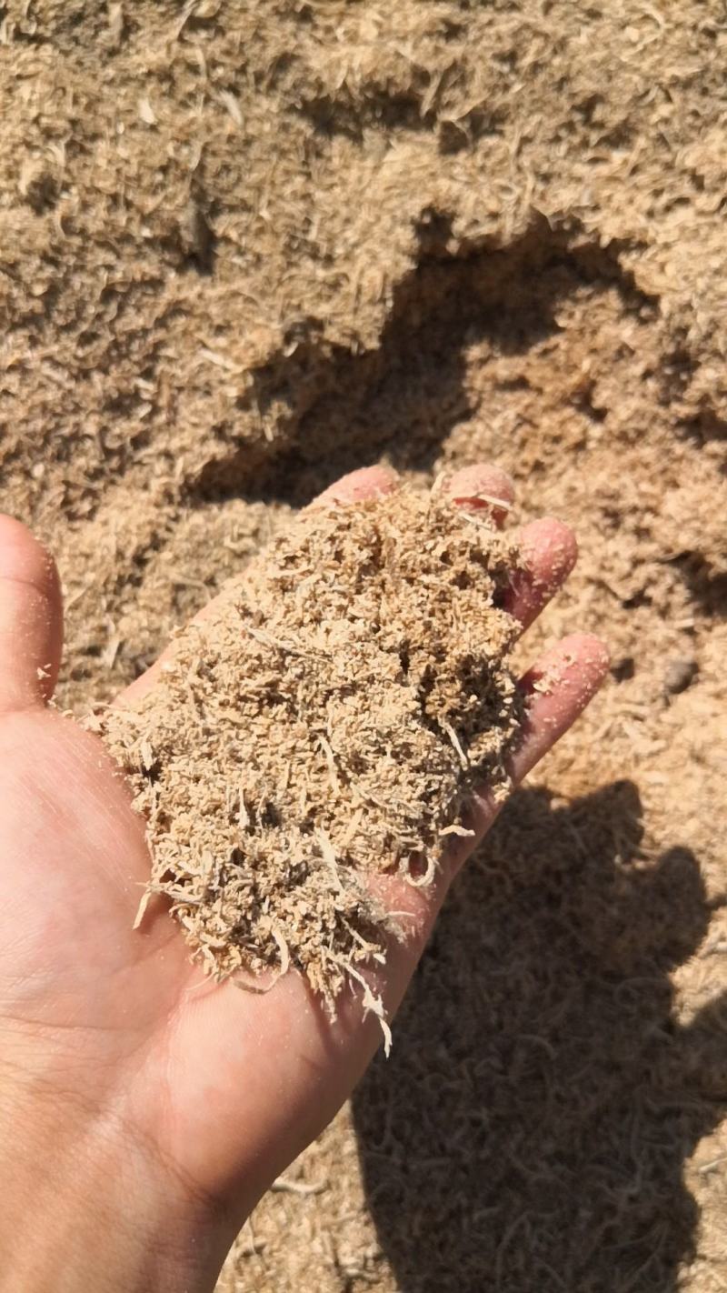 大量桐木锯末出售价格便宜，过筛装车，厂家有车随时都可以发