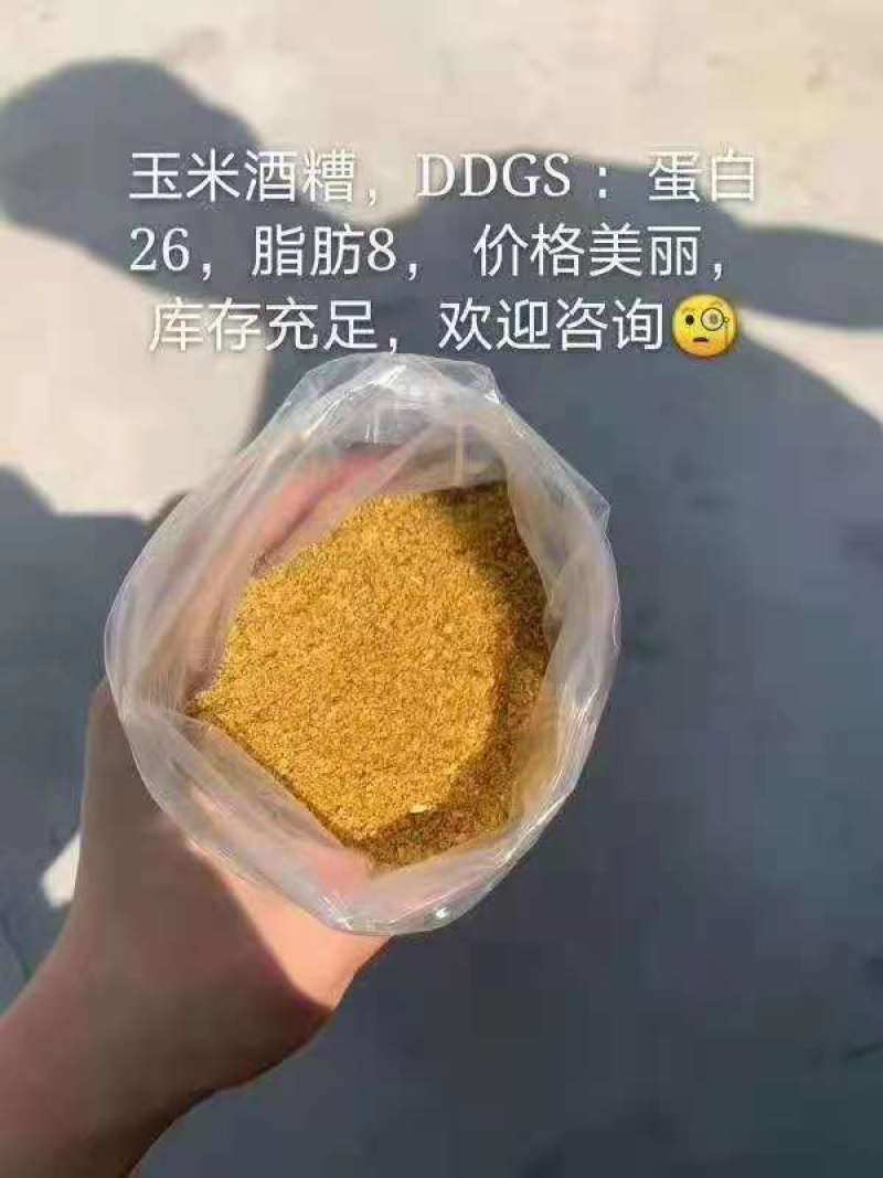 【热销】玉米酒糟DDGS适用于饲料厂添加，养殖场
