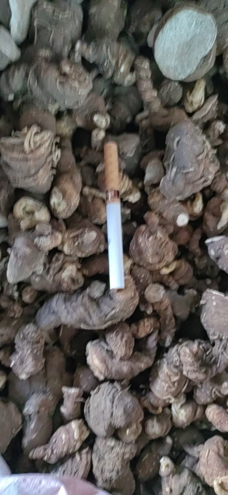 虫楼