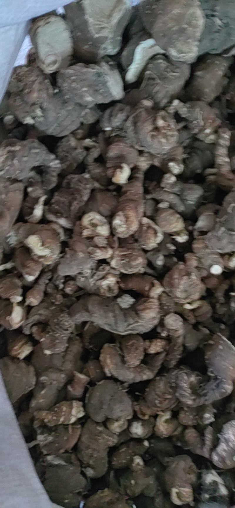 虫楼