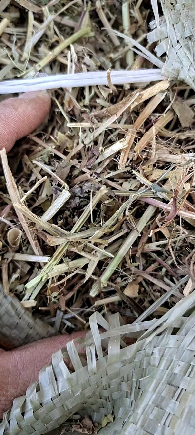【热销花生秧】花生秧牛马羊专用料欢迎选购