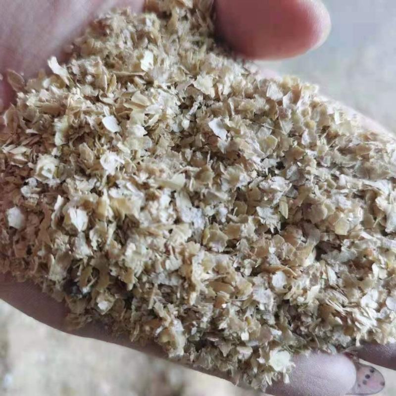 【麸皮】大片麦麸适用于养殖场，饲料厂种植