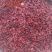 【实拍】山茱萸山萸肉山芋肉枣皮颜色好无籽肉厚一公斤起批