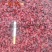 【实拍】山茱萸山萸肉山芋肉枣皮颜色好无籽肉厚一公斤起批