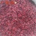 【实拍】山茱萸山萸肉山芋肉枣皮颜色好无籽肉厚一公斤起批