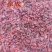 【实拍】山茱萸山萸肉山芋肉枣皮颜色好无籽肉厚一公斤起批