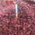 【实拍】山茱萸山萸肉山芋肉枣皮颜色好无籽肉厚一公斤起批