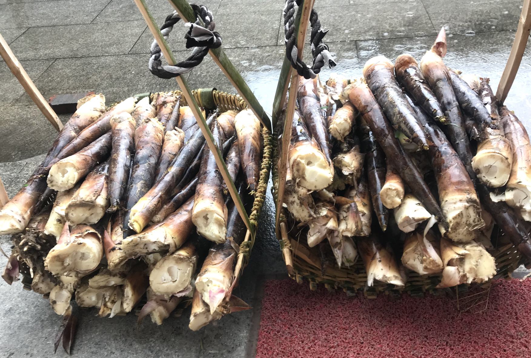 一个现代化的农产品直播间,主播正在展示新鲜雷竹笋的切面,背景板写着‘临安雷笋 直播特惠’,桌上摆放着打包好的快递盒和二维码立牌,灯光专业,氛围活跃 雷竹笋电商销售直播间