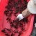 【推荐】江苏精品小龙虾鲜活小龙虾三钱以上