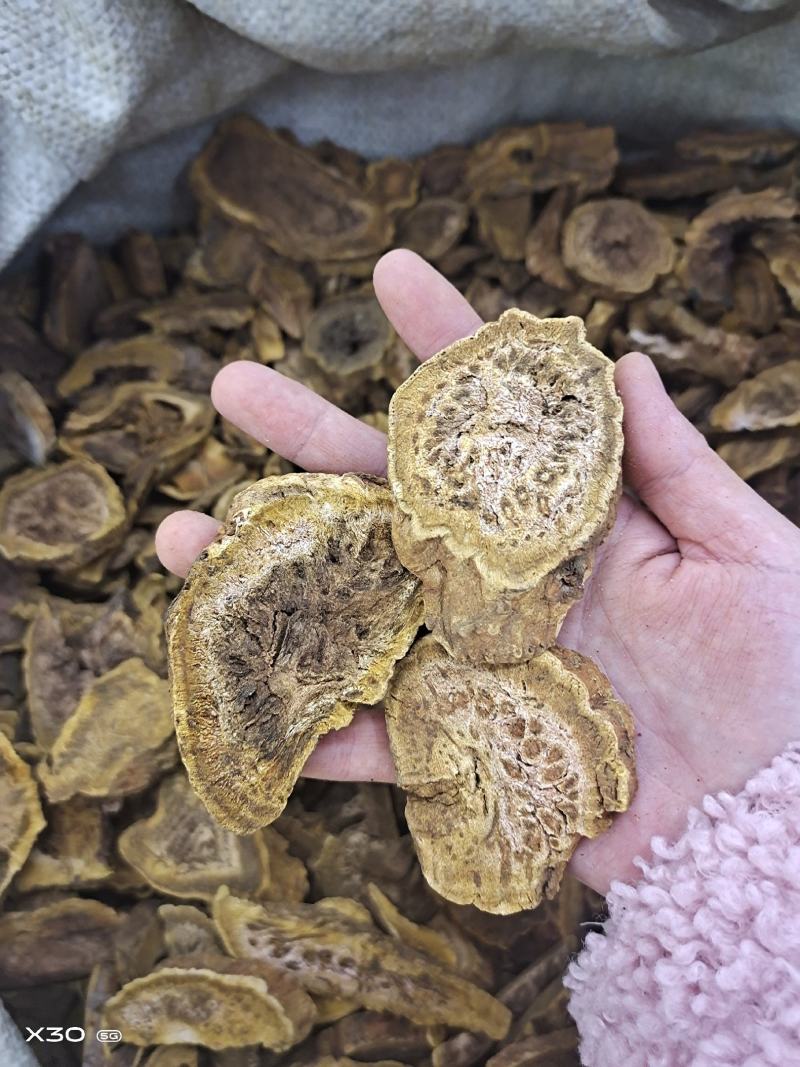 大黄无硫片大黄润浓郁现有大货可打粉马蹄黄规格齐全