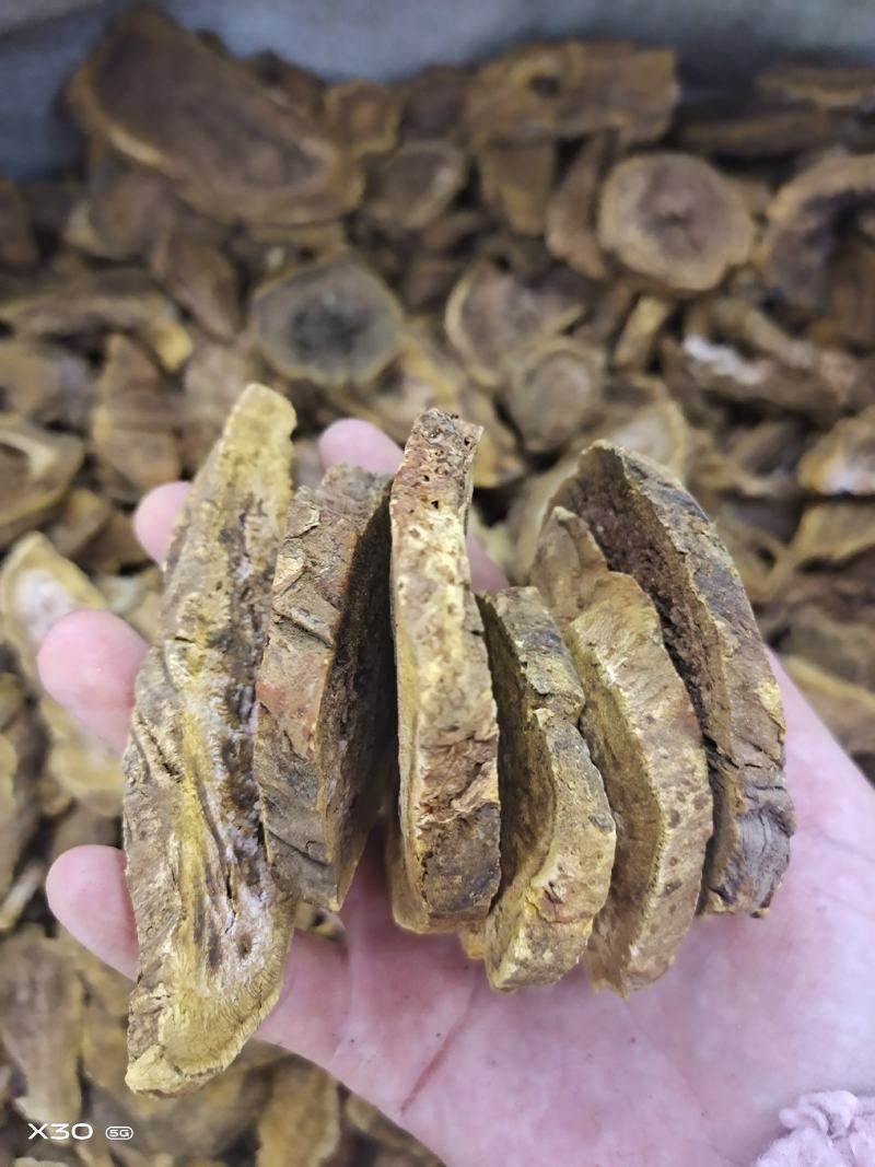 大黄无硫片大黄润浓郁现有大货可打粉马蹄黄规格齐全