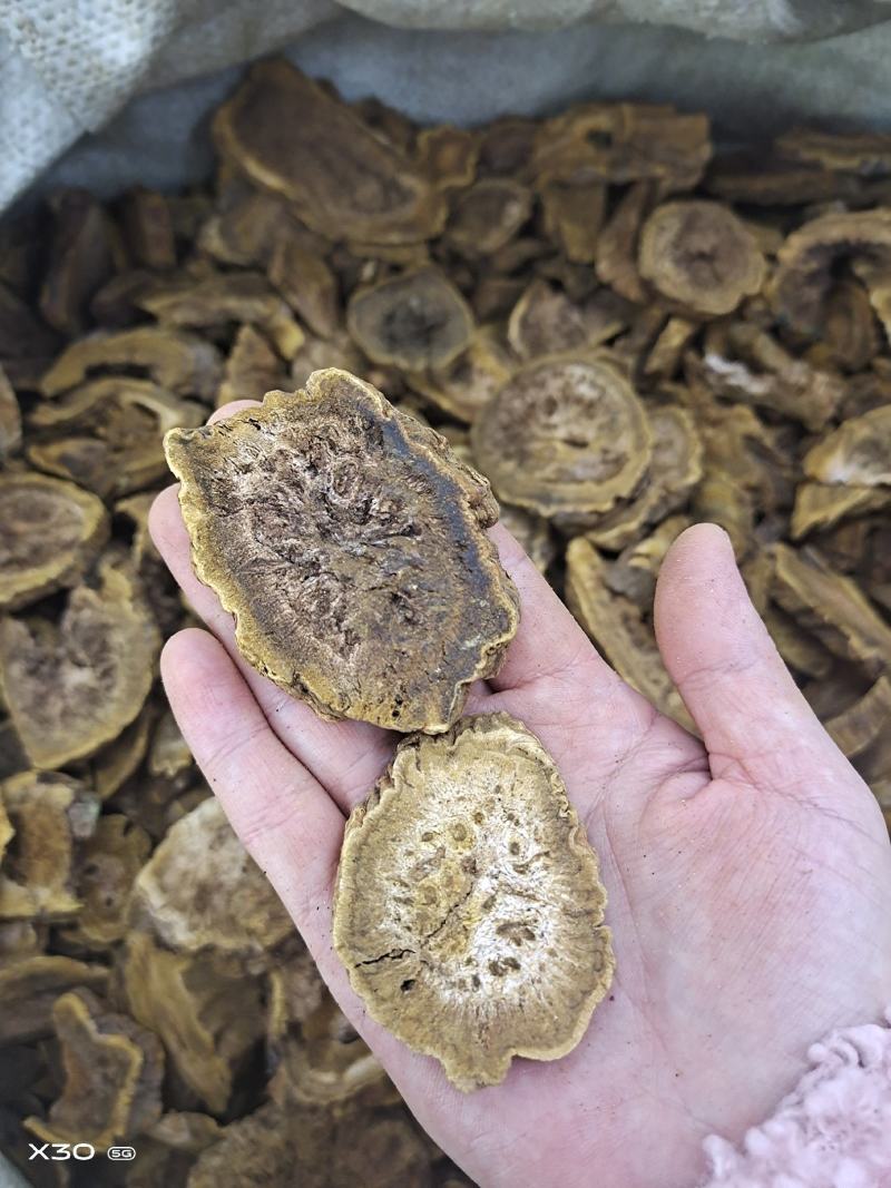 大黄无硫片大黄润浓郁现有大货可打粉马蹄黄规格齐全