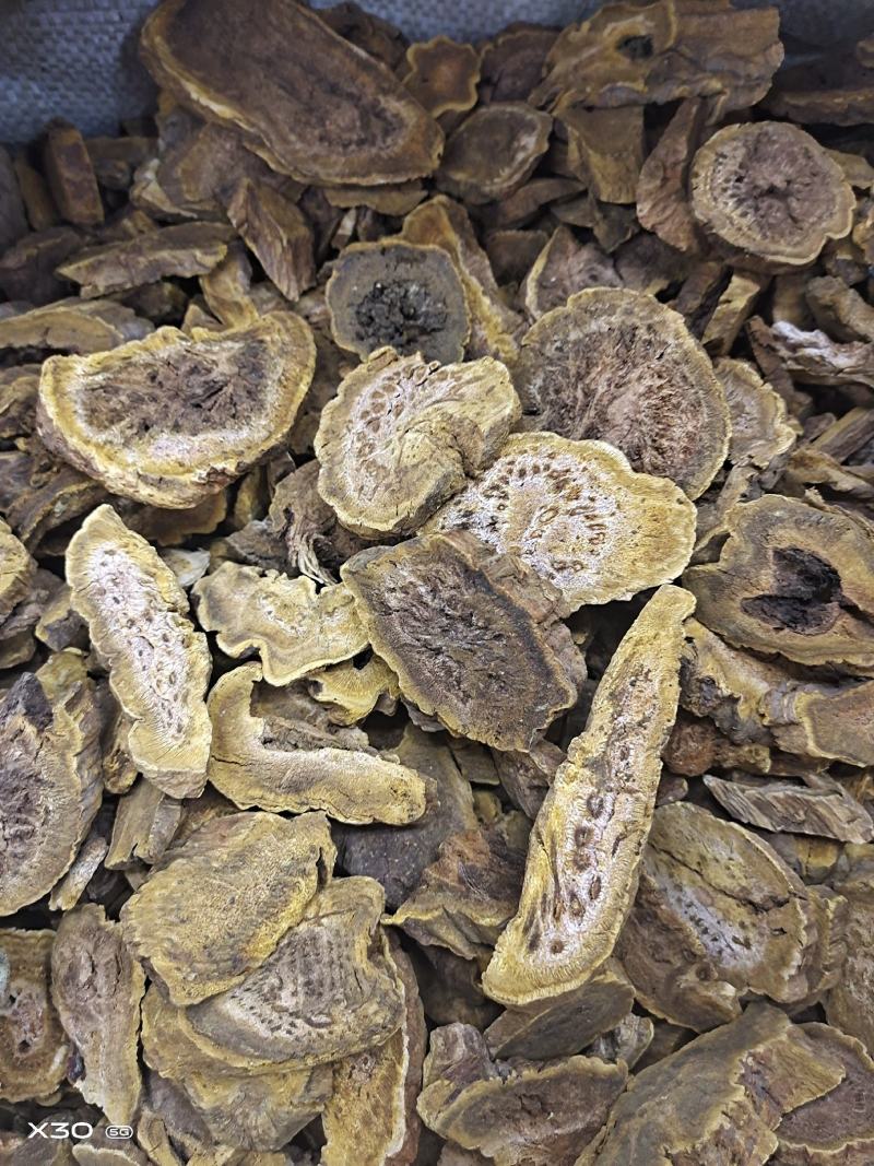 大黄无硫片大黄润浓郁现有大货可打粉马蹄黄规格齐全