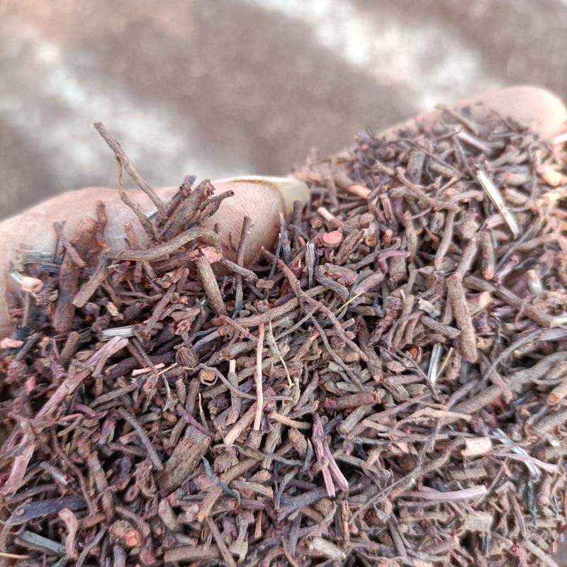 茜草