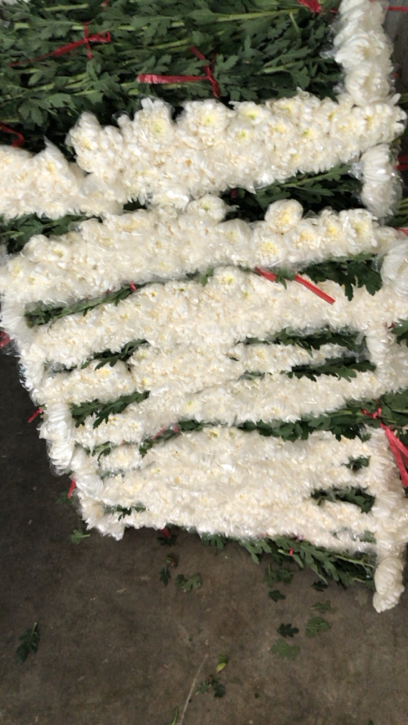 广州明记花行销售有限公司