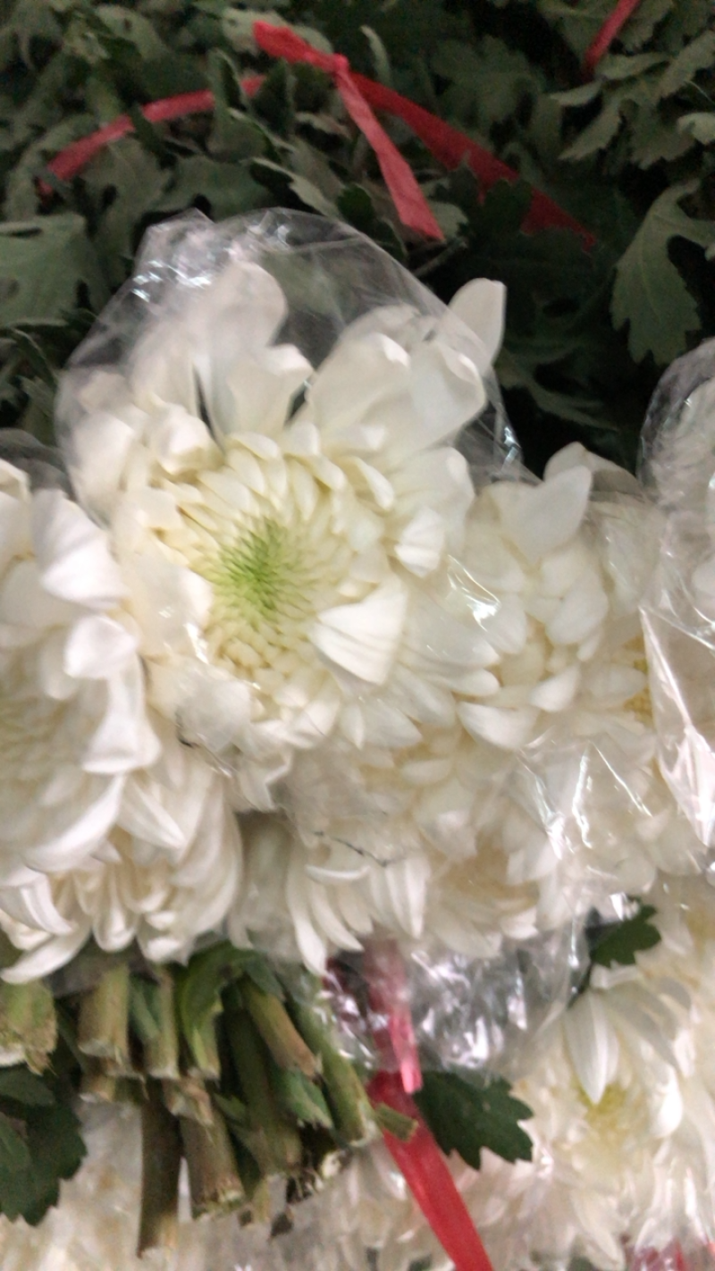 广州明记花行销售有限公司