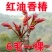 香椿苗优质苗，红油香椿苗绿油适合南北方种植，四季可种植植