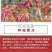 香椿苗优质苗，红油香椿苗绿油适合南北方种植，四季可种植植